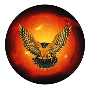 TPAS new logo